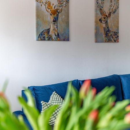 Apartament Lisowski Centrum Закопане Екстериор снимка
